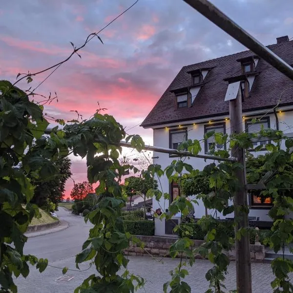 Brauereigasthof Adler，位于Oberstadion的酒店