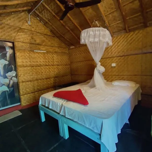 Hampi nature Cottage，位于亨比的酒店
