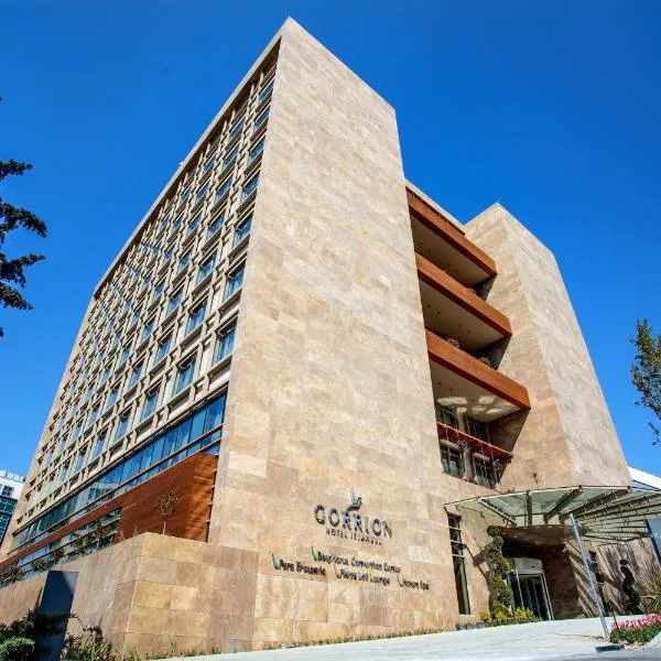 伊斯坦布尔格里翁酒店，位于Firuzköy的酒店
