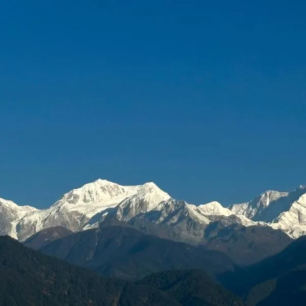 Wake In Himalayas，位于Dentam的酒店