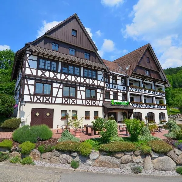 坦奈霍夫莱科斯酒店，位于Hundsbach的酒店