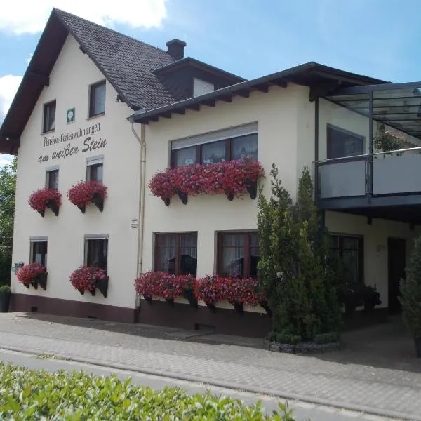 Gästehaus "Am weißen Stein"，位于科赫姆的酒店