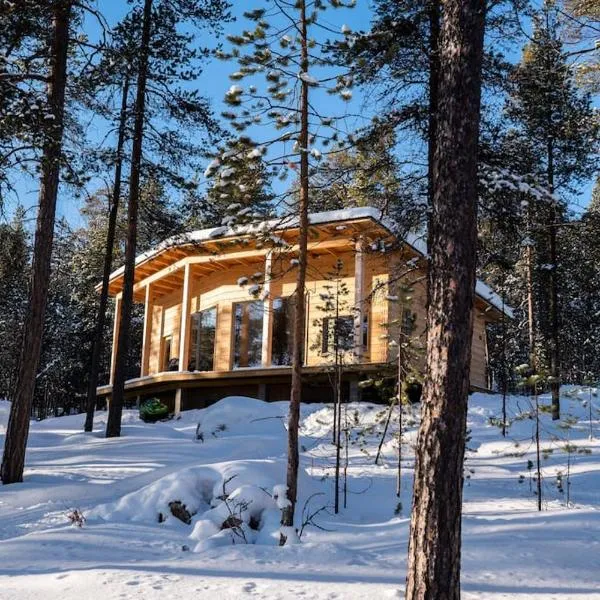 Uusi hirsimökki 7 henkilölle，位于伊纳利的酒店