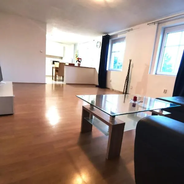 Elements Apartments & Katerina，位于奥斯特罗夫的酒店