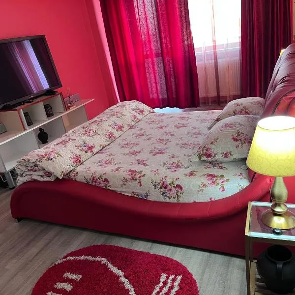 Ultracentral zona zero apartament，位于Nicolae Bălcescu的酒店