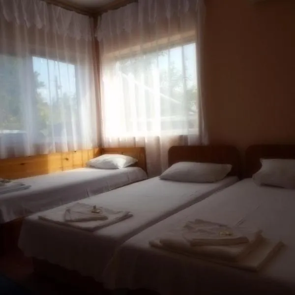 Guest House Borisov，位于图伦诺沃的酒店