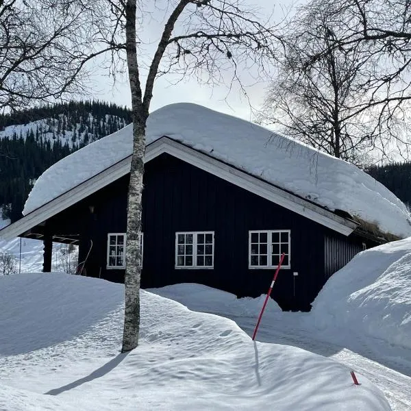 Kultan，位于Åmotsdal的酒店