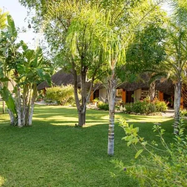 Lion's Den Guesthouse Otjiwarongo，位于奥奇瓦龙戈的酒店