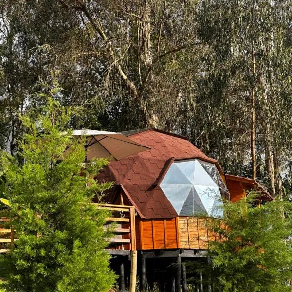 Glamping Shalom，位于乔阿奇的酒店