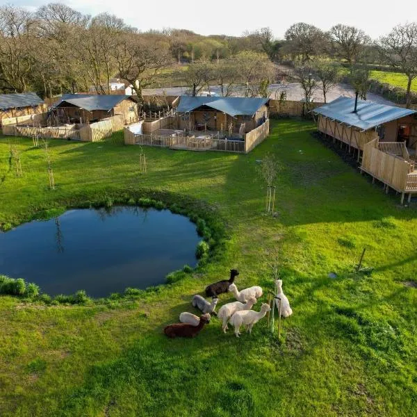 Jungle Book Safari Tent，位于哈佛威斯特的酒店