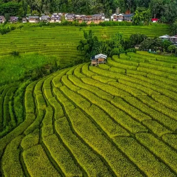 บ้านพักชิปู ป่าบงเปียง，位于夜占县的酒店