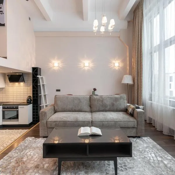 Spacious & Cozy loft Near Old Town，位于Liepiškės的酒店