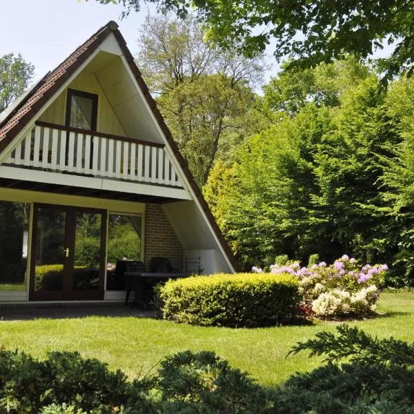 Summio Bungalowpark Het Hart van Drenthe，位于阿珀尔斯哈的酒店