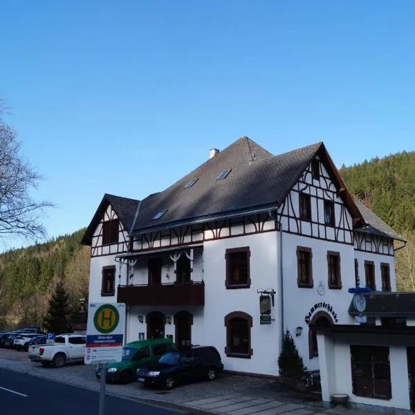 Gasthof und Pension Hammerschänke，位于Wildenthal的酒店