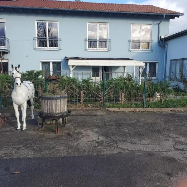 Große 3 Zi Wohnung auf der Pferde Farm，位于Meißenheim的酒店