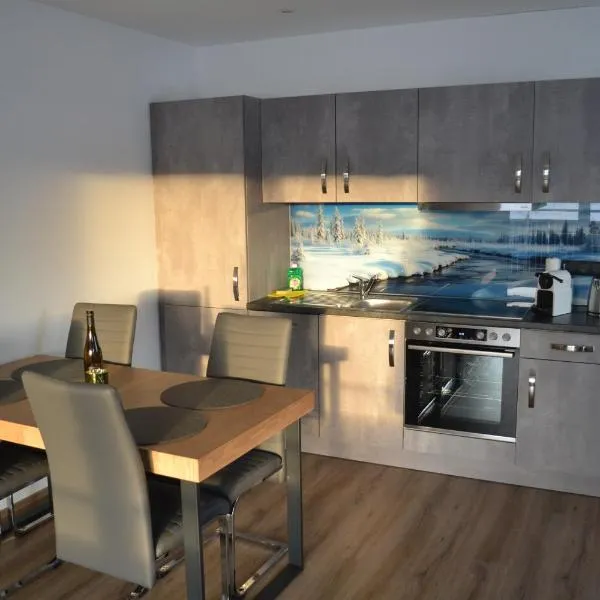 Apartment Ausblick，位于塔姆斯韦格的酒店