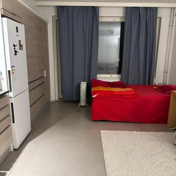 apartment，位于Iitiä的酒店