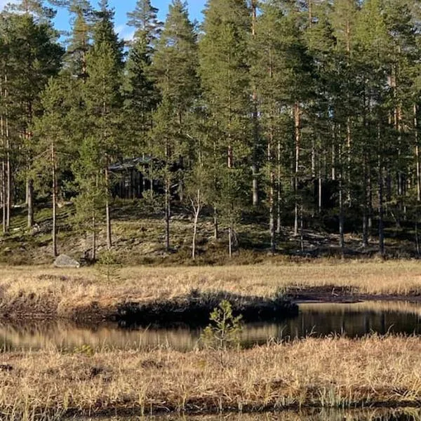 Velkommen til Finnskogen og minihytta Rimbila，位于孔斯温厄尔的酒店