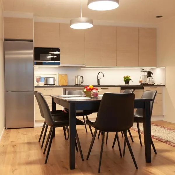 Saimaan Kodikas Premium，位于萨翁林纳的酒店