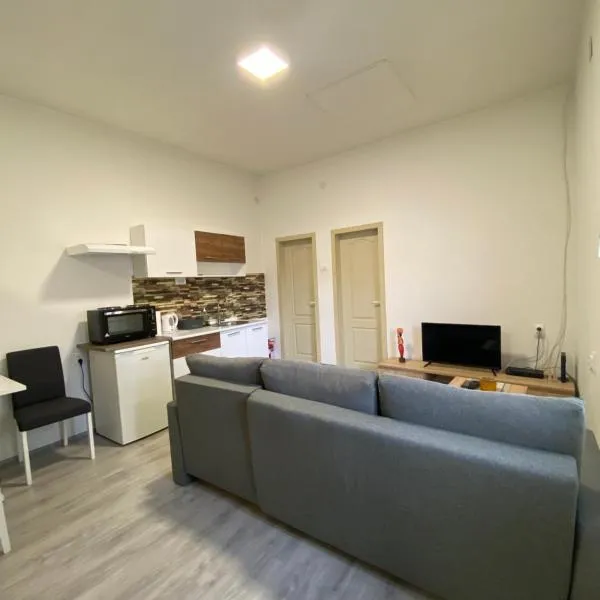 Apartman Arthur，位于Srpska Crnja的酒店