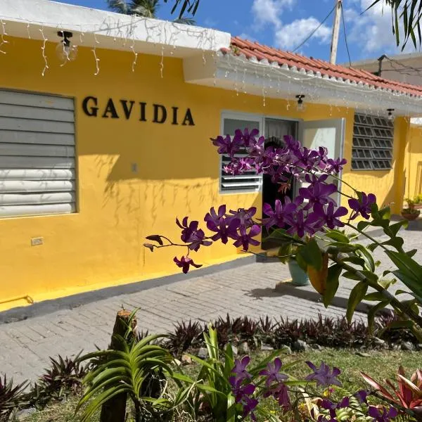 Gavidias Guest House，位于San Lorenzo的酒店