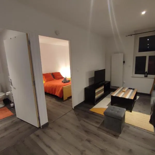 Appartement 1 ch Zegerscappel，位于Zeggers-Cappel的酒店