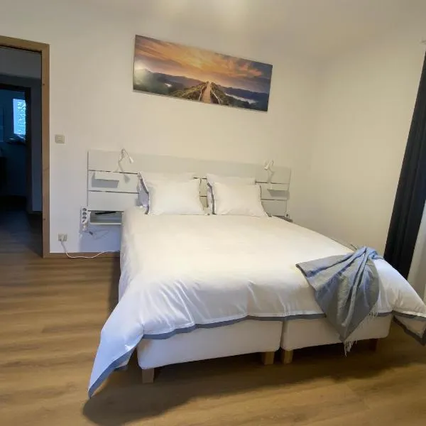 D-012 Bel appart et balcon climatisé parking privé gratuit sur demande，位于沙勒罗瓦的酒店