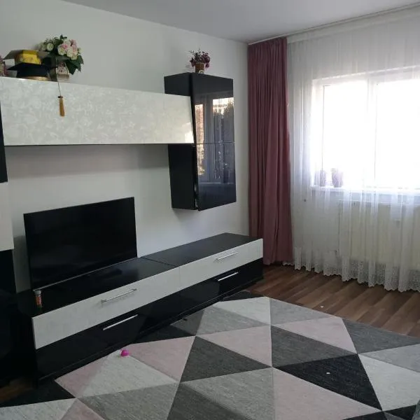 Penti Apartament，位于Ionăşeni的酒店