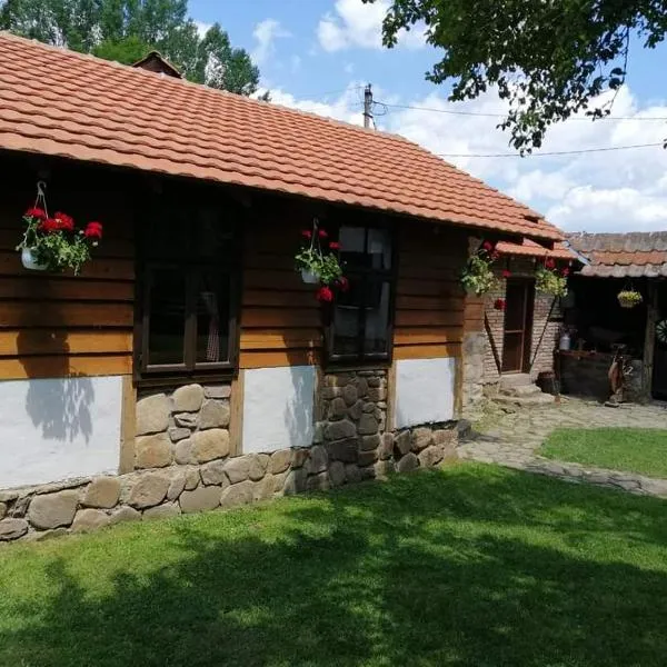 Etno kuca Nikolov，位于Radejna的酒店