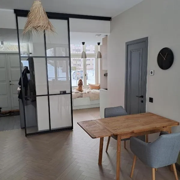 Signe Apartment，位于塔尔图的酒店