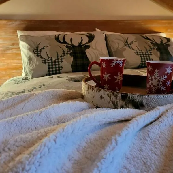 Baita 3 lovely & central Sauze，位于萨奥兹-杜尔克斯的酒店