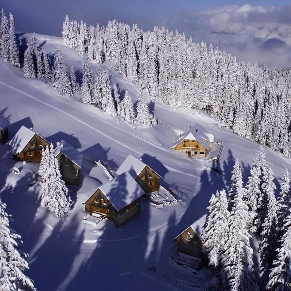 MoselebauerAlm，位于Obdach的酒店