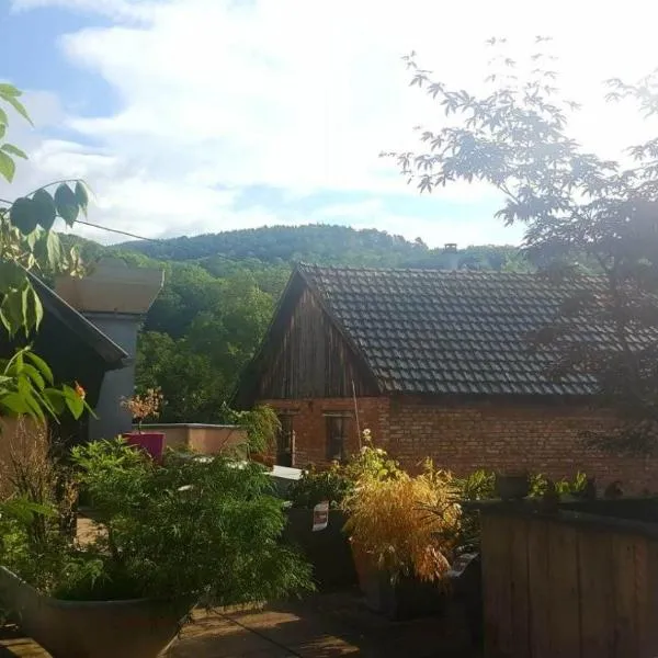 "Côté nature", appartement cosy au cœur de Munster，位于蒙斯特的酒店