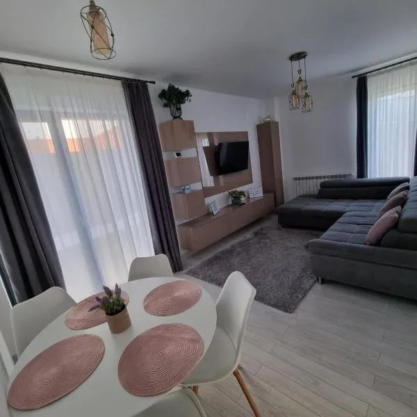 Daric Residence Apartaments，位于Cotu Băii的酒店