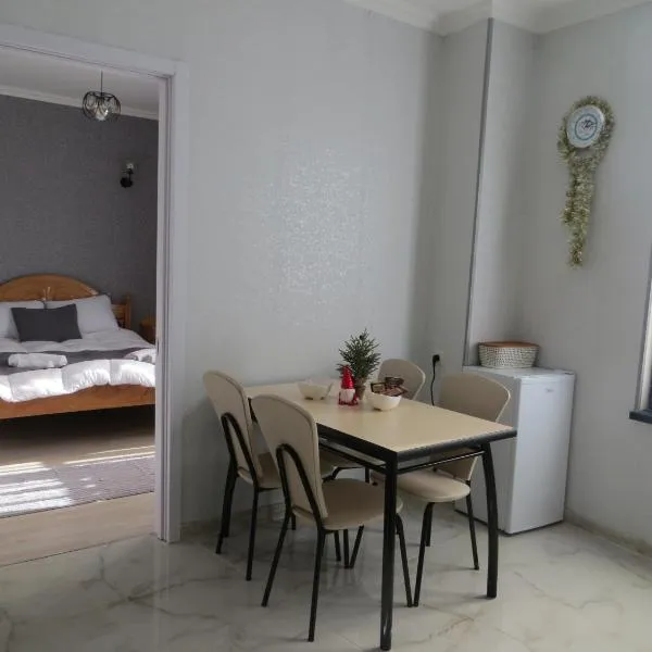 Apartament Bacha & Lia，位于梅斯蒂亚的酒店