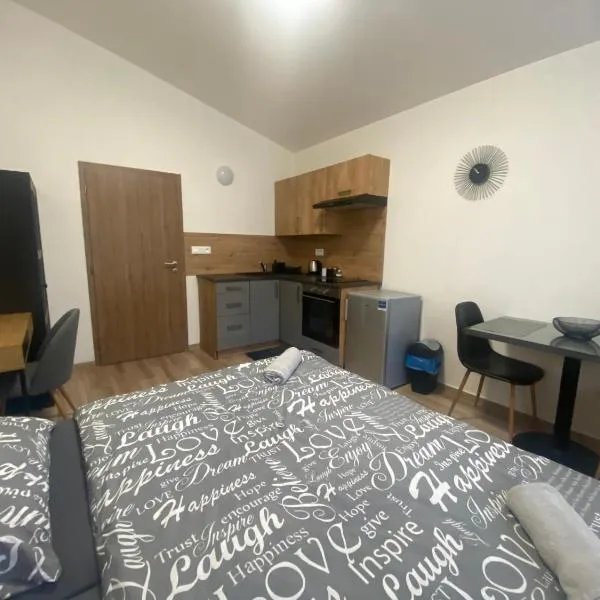 Černá Růže - Apartmán 7，位于比尔森的酒店