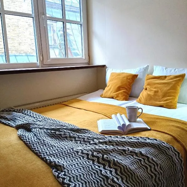 Old Town Charm One bedroom Spacious Loft Apartment nearby the Livu square，位于里加的酒店