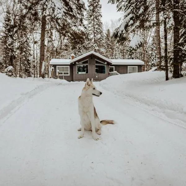 Dog friendly Muskoka. Fun from forest to river.，位于Utterson的酒店