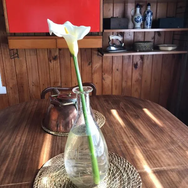 Hostel Cala 816，位于弗鲁蒂亚尔的酒店