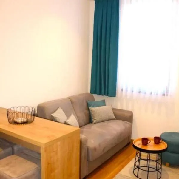 Aparthotel Zlatni Javor 406，位于亚霍里纳的酒店