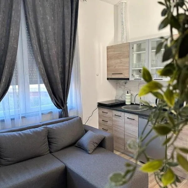 Apartmani M.&.B Luks，位于Mataruška Banja的酒店