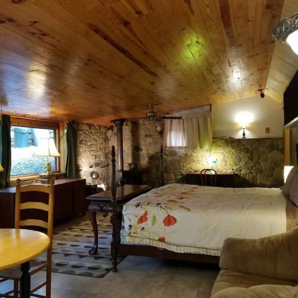 Castle Suite at White Lotus Eco Spa Retreat，位于Stanardsville的酒店