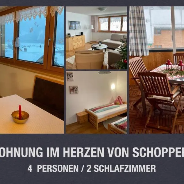 Ferienwohnung Schoppernau，位于施科佩尔瑙的酒店