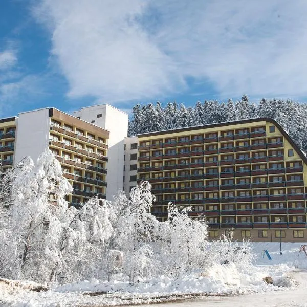 Hotel SOREA ĽUBOVŇA，位于Starina的酒店