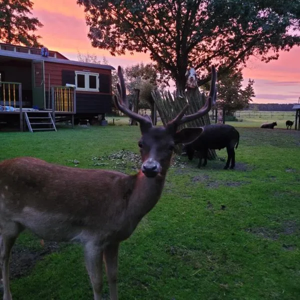 B&B 't Maartensdijkse Bos，位于登多尔德的酒店