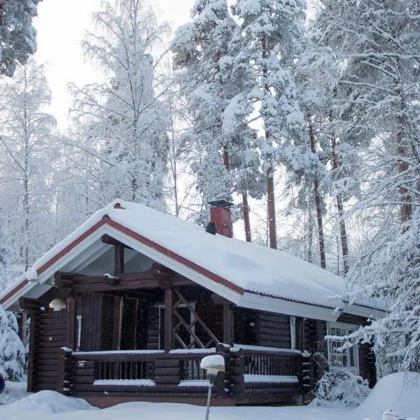 Villa Omena at MESSILA ski & camping，位于Hämeenkoski的酒店