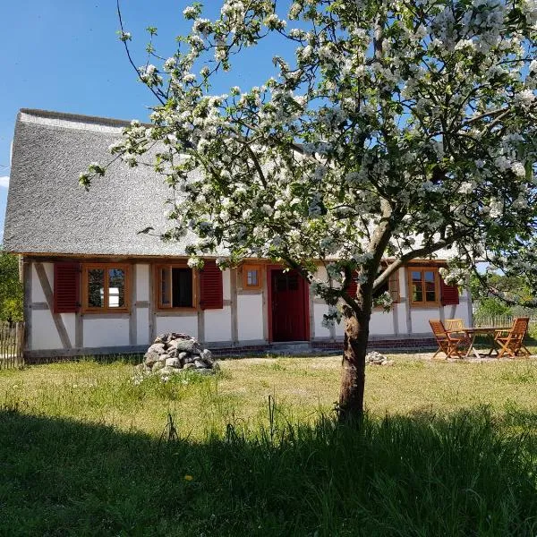 Fischerhus Lütt Hauke 69 qm Traudel，位于Ahlbeck的酒店