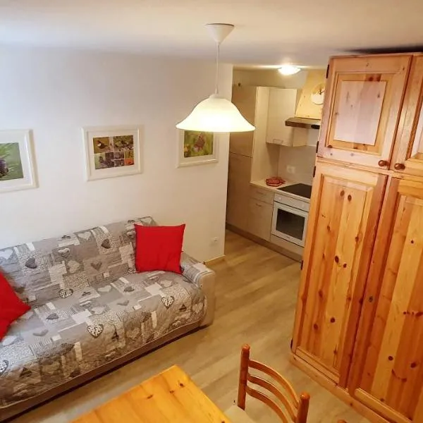 Appartamento Pampeago 10，位于泰塞罗的酒店