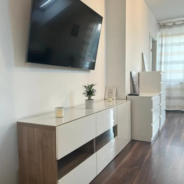 Tara's apartment，位于Borovnica的酒店