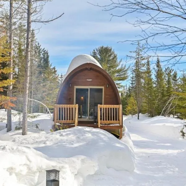 Chalet Alice à louer avec Spa Mauricie，位于圣亚历克西德蒙的酒店